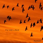Picture for song 'Fly Like A Bird' by artist 'Madmark-Music'