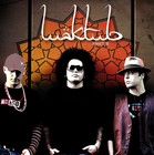 Picture for song 'La Caida' by artist 'maktub'
