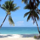 Picture for song 'Matagofie - Beautiful Island' by artist 'Malcolm Brown'