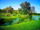 Picture for song 'The River' by artist 'Manel Cabedo Filizzola'