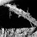 Picture for song 'Ode to Rambalambar Smith' by artist 'EmDee'