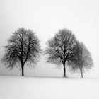 Picture for song 'When Springtime Comes Around.' by artist 'Mark Ellis'