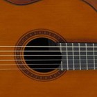 Picture for song 'Bouree in E minor' by artist 'Mark Wessels'