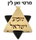 Picture for song 'Marti van Lin - Shma (Hasbara Mix)' by artist 'Marti van Lin'