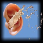 Picture for song 'Sampler Platter' by artist 'Martyr Minstrels'