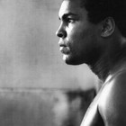 Picture for song 'Legend | Free DL' by artist 'Shingie.'