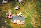 Picture for song 'Too Much, Too Forget' by artist 'Matt Lee'