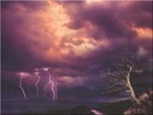 Picture for song 'rainy nights (mc flipp, envs.)' by artist 'mc flipp'