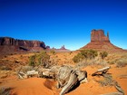 Picture for song 'MD BASSELINER _ ITS ALL ABOUT THE WEST' by artist 'MD BASSELINER'