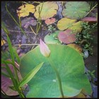 Picture for song 'Prayer Freestyle' by artist 'Meak'