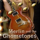 Picture for song 'Groupie' by artist 'Merlin and the Gnometones'