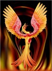 Picture for song 'The Phoenix' by artist 'Michael Borkson'