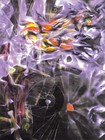 Picture for song 'The Disasters Of Mysticism (excerpt)' by artist 'Michael Thomas Jackson'