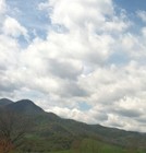 Picture for song 'We need you.mp3' by artist 'Michelle Atkinson'