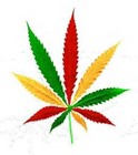 Picture for song 'Rasta' by artist 'Midnyte Productions'