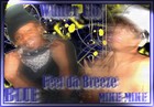 Picture for song 'WINTER FLO' by artist 'MIKE-MIKE ON DECK'