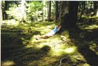 Picture for song 'Spanish Afternoon' by artist 'Mike Pitre'