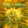 Picture for song 'Twenty Five Pounds a Gram (Accoustic Version)' by artist 'Mike Wright'
