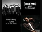 Picture for song 'rock tonight(linkin park nd Timbaland type)' by artist 'mikey beatz'