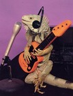 Picture for song 'Just Pick'n' by artist 'Mississippi Vic (spud)'