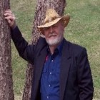 Picture for song 'Lets Take A Walk' by artist 'Mitch Wayne'