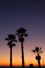 Picture for song 'Beach Comber' by artist 'Mojo Productions'