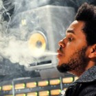 Picture for song 'Too Many Stories' by artist 'MoMurdaBeatz'