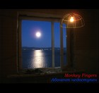 Picture for song 'Not Available' by artist 'Monkey Fingers'