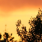 Picture for song 'burning couch' by artist 'Montags'