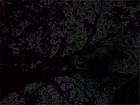 cover pic