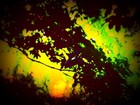 Picture for song 'Summer of No-Distance' by artist 'MPK (band)'
