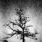 Picture for song 'Black Winter' by artist 'Mr.MorenoBeats'