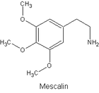 Picture for song 'Never Stay' by artist 'MSP'