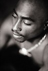 Picture for song 'Dumpin' by artist 'MSS Productions'