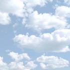 Picture for song 'Lyte riddim' by artist 'muckraykabeats'