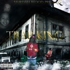 Picture for song 'Solid B*** (Lil J Beatz)' by artist 'Murdah Wood Raain Child'