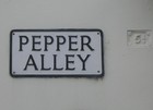 Picture for song 'Pepper Alley' by artist 'Muse Abuse'