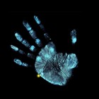 Picture for song '*NEW* The End ~HARD~' by artist 'MusiqLife'