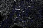 Song picture