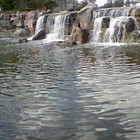 Picture for song ''You Broke Her Heart'' by artist 'Nadia Cripps'