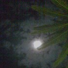 Picture for song 'Nocturne I' by artist 'Nahum'