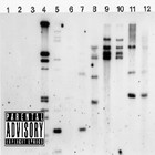 Picture for song '03 - The Jazz Prod (Mr. Cleen)' by artist 'Nemonics'