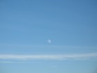 Picture for song 'Wide Open Space 137438' by artist 'Neo Metric'