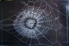Picture for song '*Spinning Webs* (New Underground!!)' by artist 'New Swol Productions'
