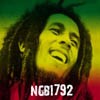Picture for song 'NGB1792 BOB MARLEY' by artist 'ngb1792'