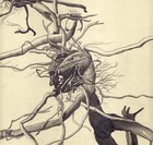 Picture for song 'Falling Leaves' by artist 'NICK PHOURIST HILL'