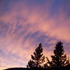 Picture for song 'Watching The Blue' by artist 'Nils-Ole Finbak'