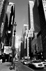 Picture for song '110th Street' by artist 'nIQBeatz'