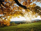 Picture for song 'Autumn Winds' by artist 'Nostique'