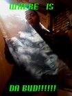 Picture for song 'where is da bud' by artist 'NovA KinGz(mc)'